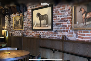 dog and pony 