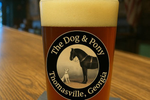 d p logo pint