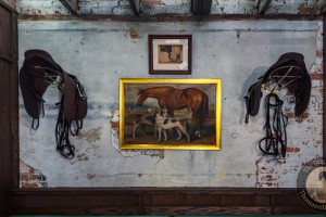 dog and pony 